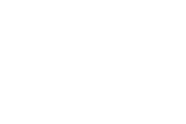 google-partner-licon