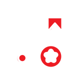 Schema markup implementation