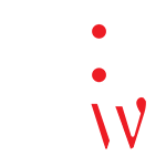 Thorough audits related to WordPress SEO